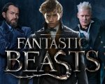 Animali Fantastici 3: posticipate le riprese del sequel!