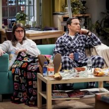 The Big Bang Theory: Jim Parsons e Mayi Bialik in The Citation Negotiation