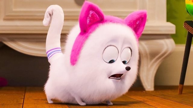 Pets 2: Gidget diventa un gatto nel nuovo trailer ...