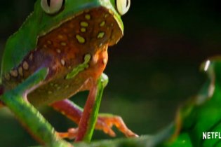 Our Planet - Trailer