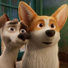 Rex - Un cucciolo a palazzo: un momento del film