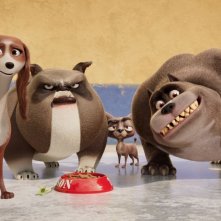 Rex - Un cucciolo a palazzo: una sequenza del film