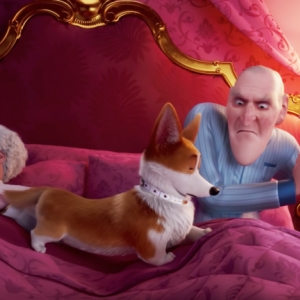 Rex - Un cucciolo a palazzo: un'immagine del film