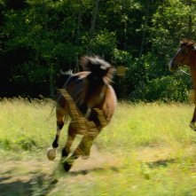 Out Stealing Horses: una sena del film