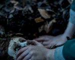 The Boy 2: la prima foto mostra un'inquietante scoperta
