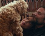 Oscat 2019: Bradley Cooper è il Miglior Regista per aver diretto il suo cane in A Star Is Born