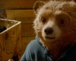 Paddington in una serie TV: l'orsetto torna sul piccolo schermo