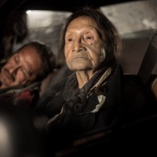 Land: un momento del film