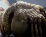 Alien, il Facehugger contro l'apnea nottuna: l'invenzione di un autore sci-fi