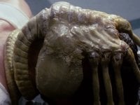 Alien, il Facehugger contro l'apnea nottuna: l'invenzione di un autore sci-fi