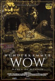 Locandina di Wunderkammer - La stanza delle meraviglie