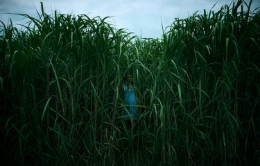 In The Tall Grass Film 2019