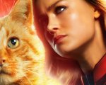 Captain Marvel, Brie Larson rivela: 'Sono allergica ai gatti!'