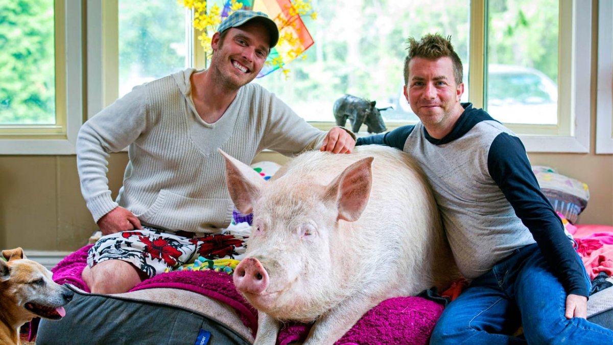 Esther the Wonder Pig: l'incredibile storia vera diventa un film