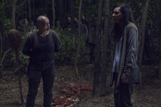 The Walking Dead Stagione 9 Il Guardiano 2