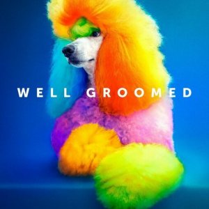 Well Groomed: poster del documentario