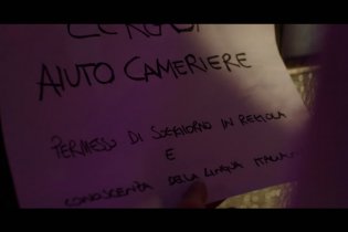 La Notte è Piccola per Noi - Annuncio Di Lavoro