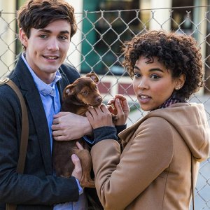 Un viaggio a quattro zampe: Bella con Alexandra Shipp e Jonah Hauer-King