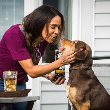 Un viaggio a quattro zampe: Bella riceve le coccole di cui ha bisogno