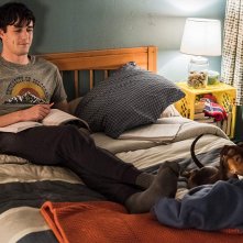 Un viaggio a quattro zampe: Bella e il suo padrone