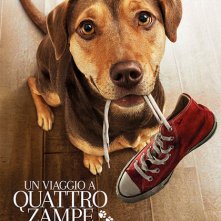 Locandina di Un viaggio a quattro zampe