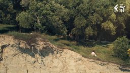 I Durrells - La Mia Famiglia E Altri Animali - Clip Stagione 3