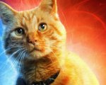 Avengers: Endgame, un fan ha sostituito ogni eroe nel poster con il gatto Goose!