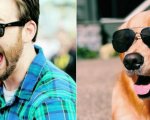 Chris Evans e i Golden Retriever: la somiglianza tra la star e i cani conquista i social