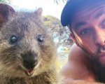 Chris Hemsworth e il divertente selfie con i quokka: 'Chiamatemi QuokkaChris!'