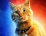 Captain Marvel: in arrivo lo spinoff su Goose? I registi rispondono