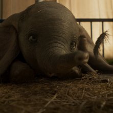 Dumbo: il piccolo Dumbo in una scena del film