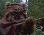 Star Wars: in arrivo una serie tv dedicata agli Ewok su Disney+?