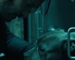John Wick 3: Parabellum, l'emozionante video dedicato al National Puppy Day