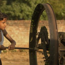 Il Vegetariano: un momento del film