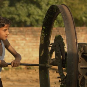 Il Vegetariano: un momento del film