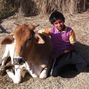 Il Vegetariano: un'immagine del film