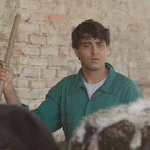 Il Vegetariano: una scena del film