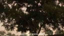 Il Vegetariano - Trailer