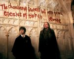 Harry Potter: negli USA la maratona di film sotto le stelle