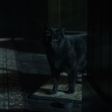 Le terrificanti avventure di Sabrina: Salem in una scena