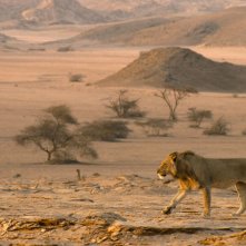 Il nostro pianeta: una scena della serie