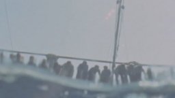 Diario Di Tonnara - Trailer