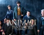 I film in streaming in 4K su Infinity, da A Star is Born a Animali Fantastici 2!