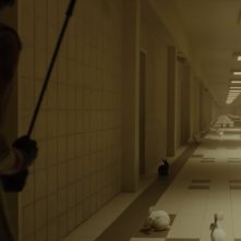 Noi: i conigli in una scena del film