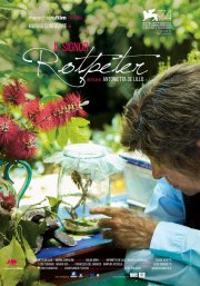 Locandina di Il signor Rotpeter