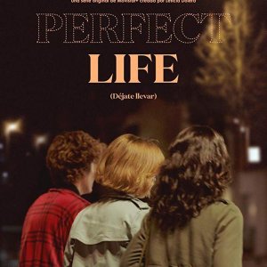 Locandina di Perfect Life