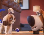 Pets 2: in arrivo un'attrazione ispirata al film agli Universal Studios Hollywood