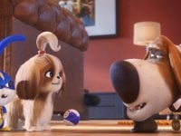 Pets 2: in arrivo un'attrazione ispirata al film agli Universal Studios Hollywood