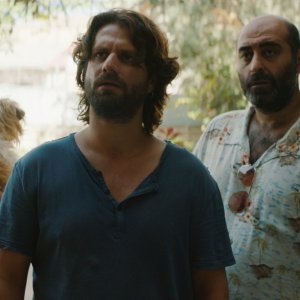 Torna a casa Jimi! 10 cose da non fare quando perdi il tuo cane a Cipro: una scena del film