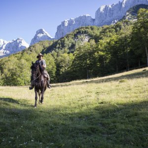 I fratelli Sisters: una scena del film western